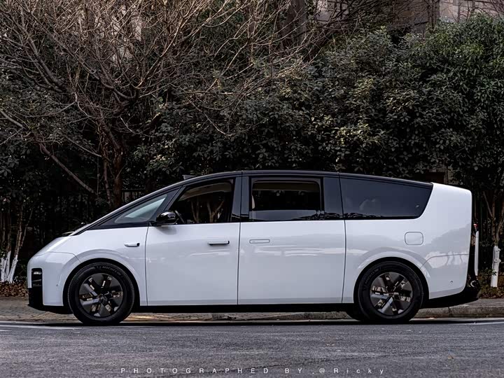 Фото 3 - LiXiang Mega