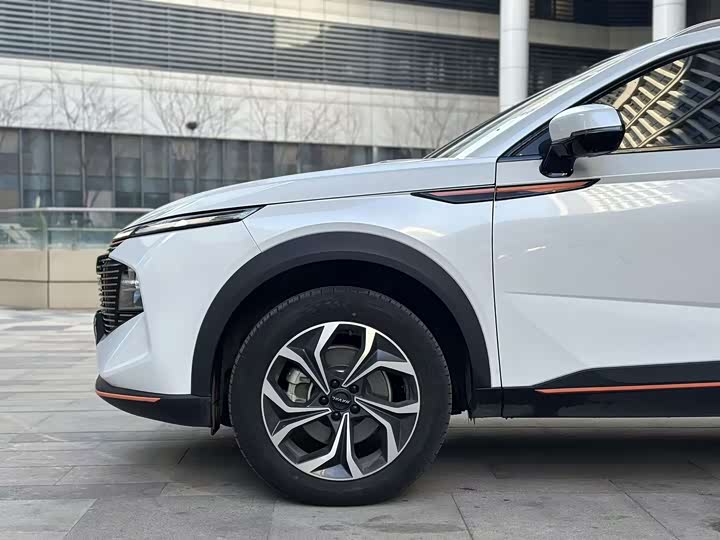 Фото 8 - Haval F7 (Monster)