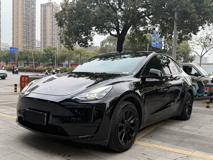 Фото 1 - Tesla Model Y
