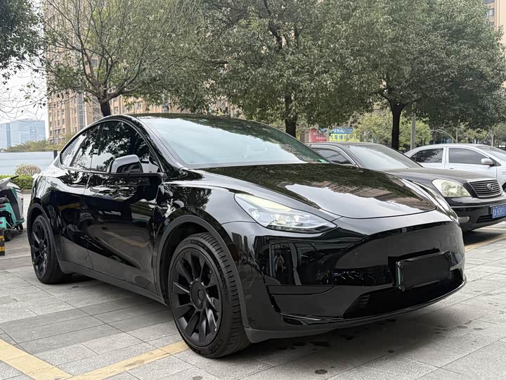 Фото 3 - Tesla Model Y