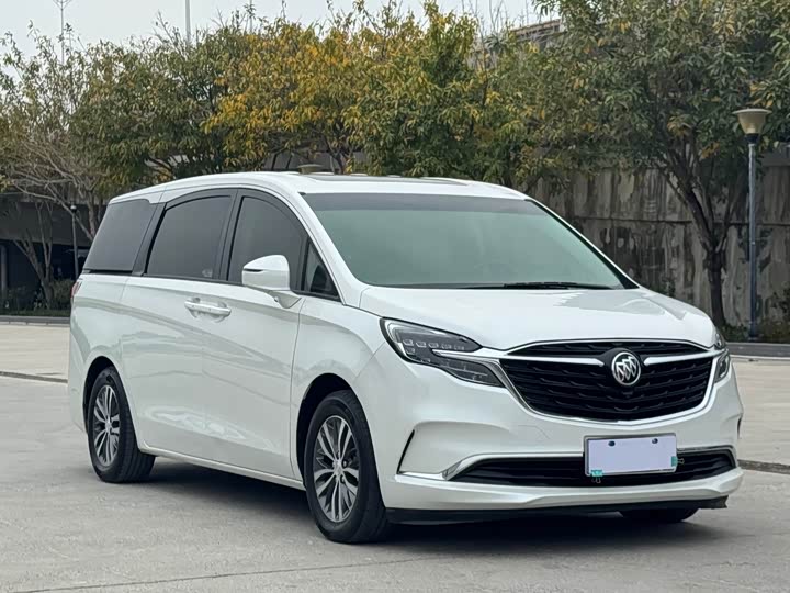 Фото 3 - Buick GL8 ES