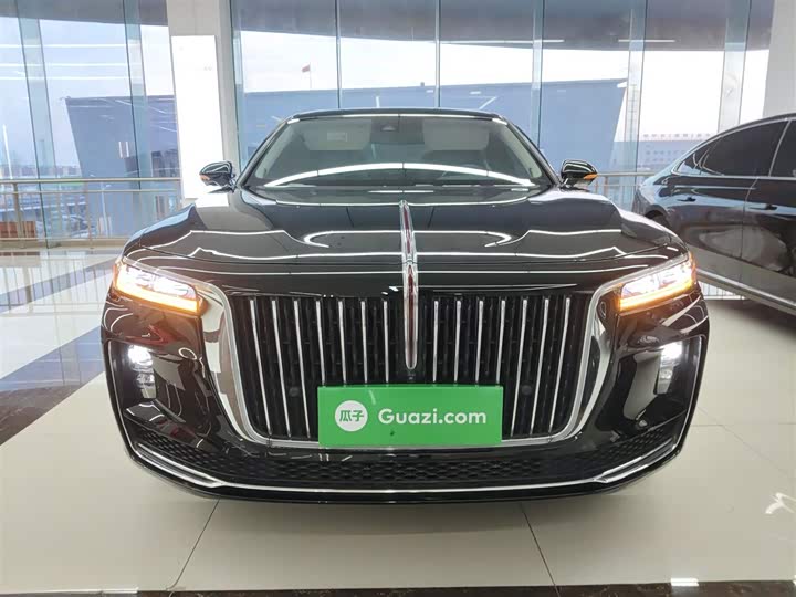 Фото 3 - Hongqi H9