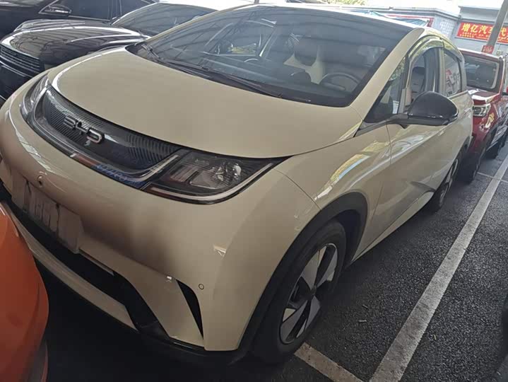 Фото 1 - BYD Dolphin