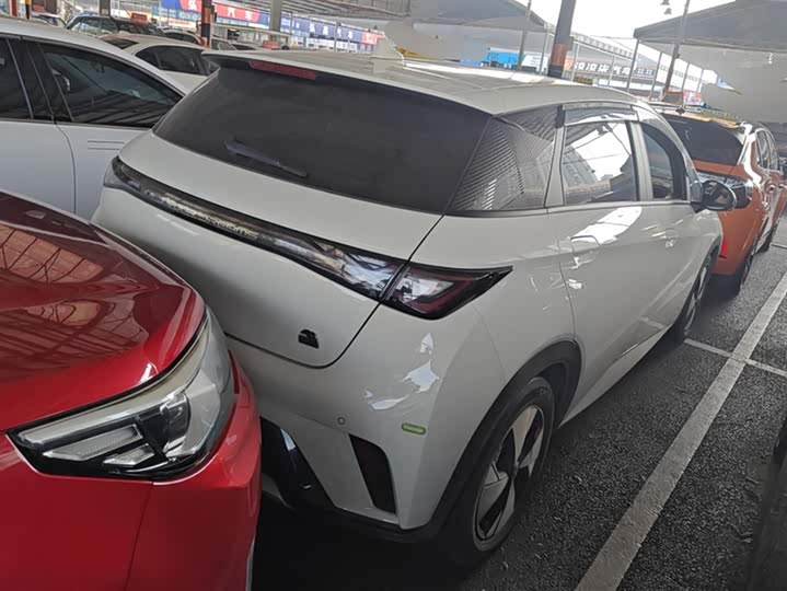 Фото 3 - BYD Dolphin