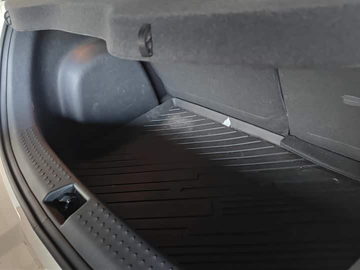 Фото 4 - BYD Dolphin