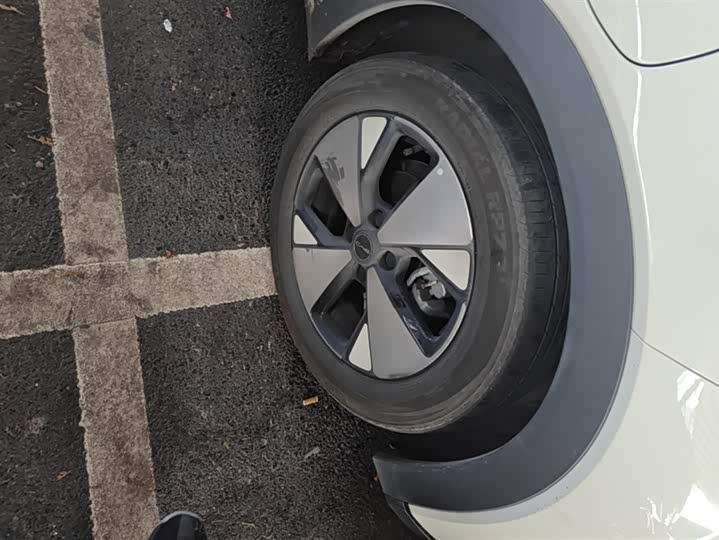 Фото 6 - BYD Dolphin