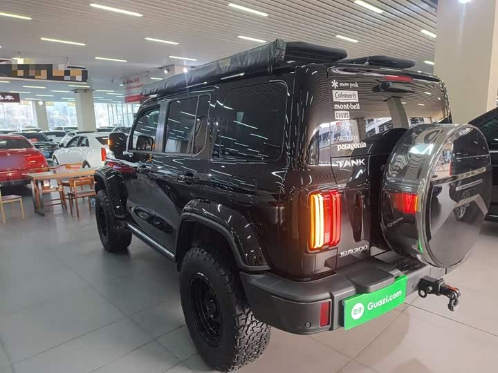 Фото 5 - Tank 300