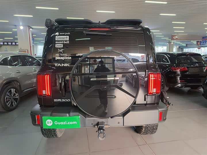 Фото 6 - Tank 300