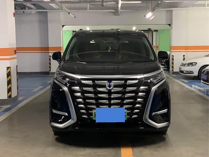 Фото 2 - Denza D9