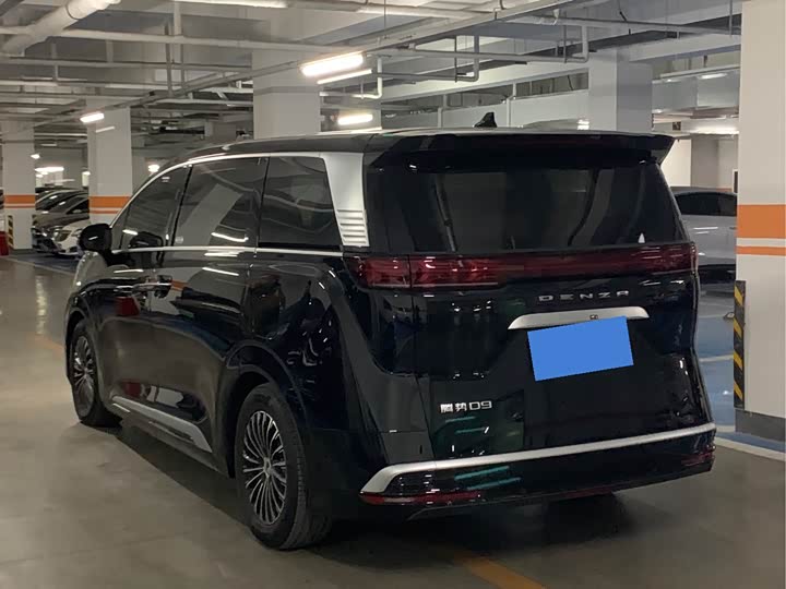 Фото 4 - Denza D9