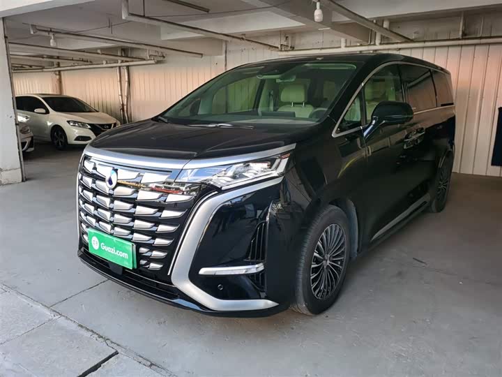 Фото 2 - Denza D9