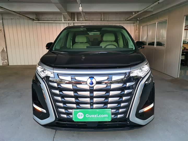 Фото 3 - Denza D9