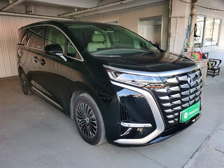 Фото 4 - Denza D9