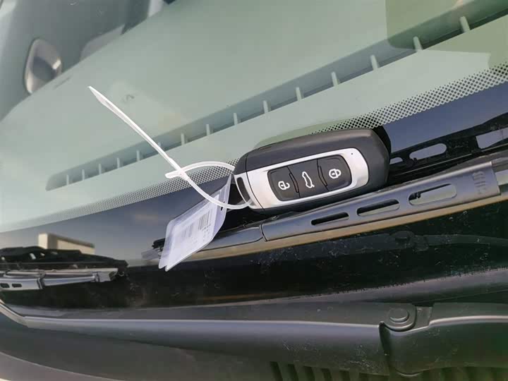 Фото 9 - Geely Galaxy Panda Mini