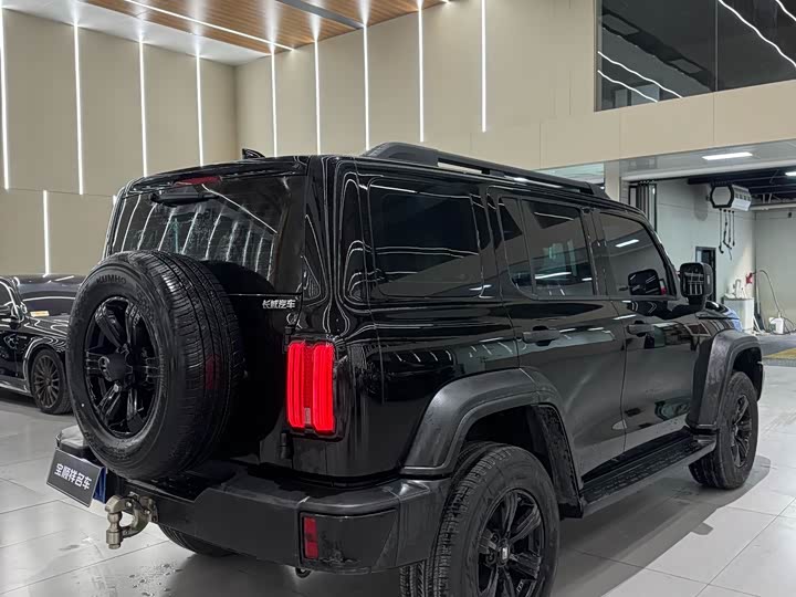 Фото 9 - Tank 300