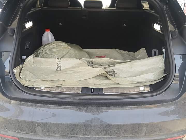 Фото 4 - Nio ET5T