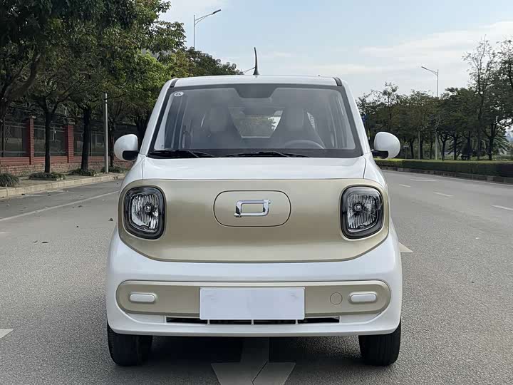 Фото 2 - Bestune Pony