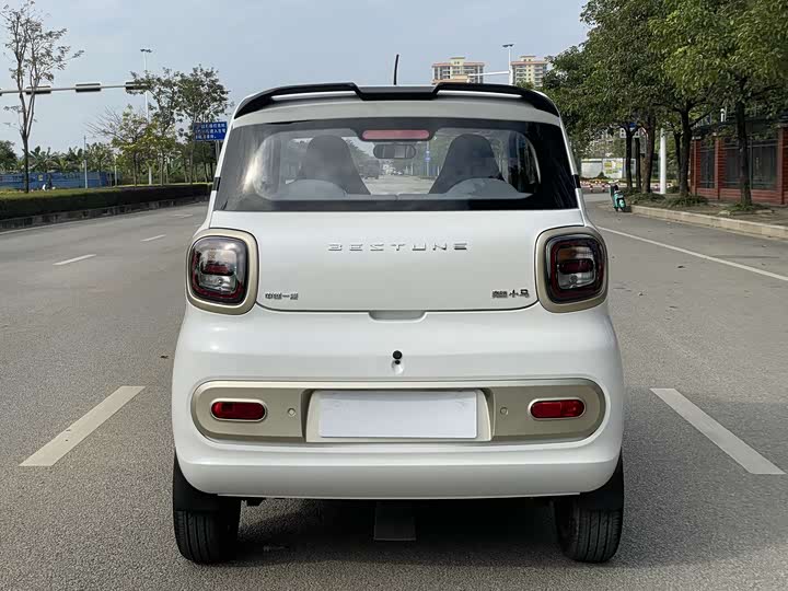 Фото 5 - Bestune Pony