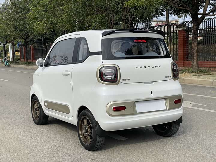 Фото 6 - Bestune Pony