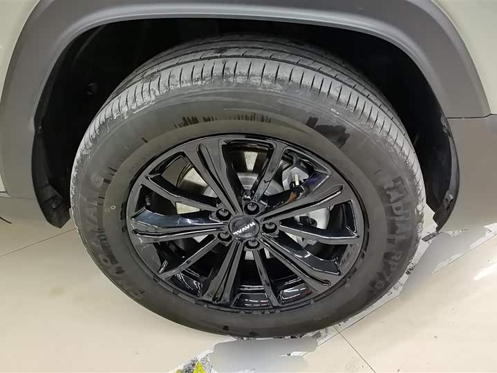 Фото 6 - Haval Raptor Hybrid