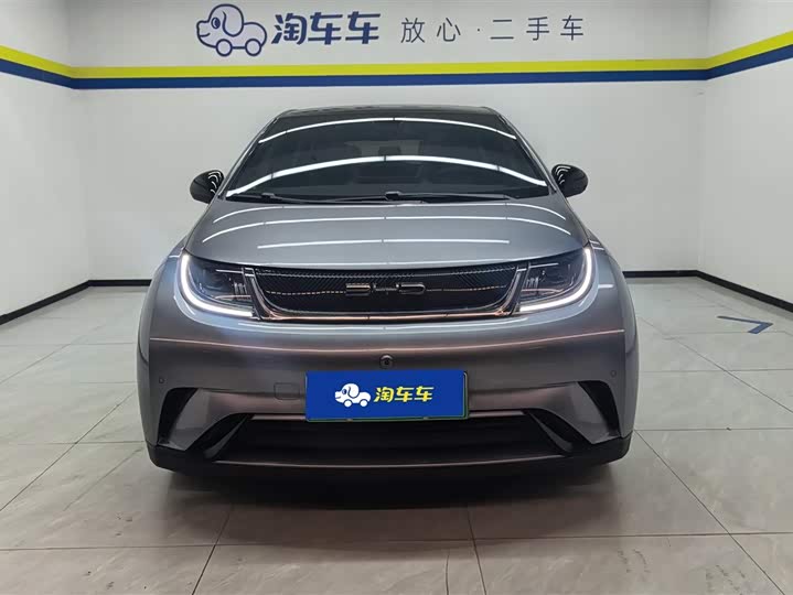 Фото 2 - BYD Dolphin