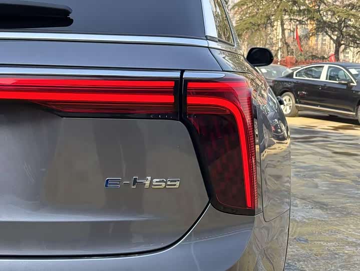 Фото 6 - Hongqi E-HS9