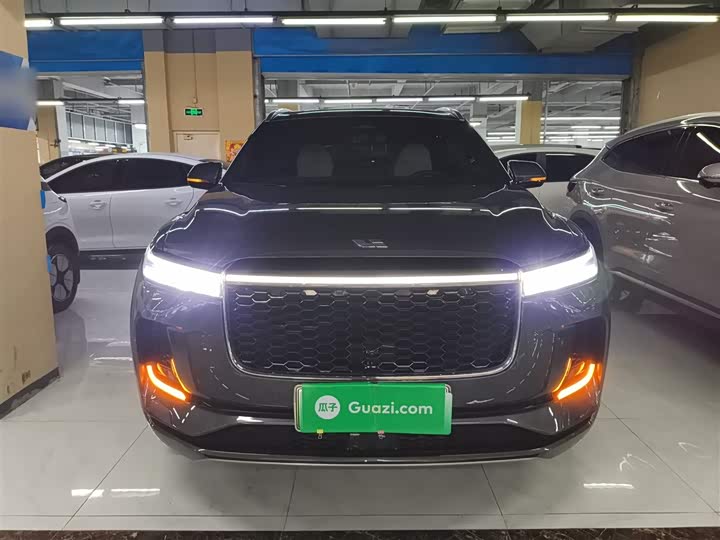 Фото 3 - LiXiang One