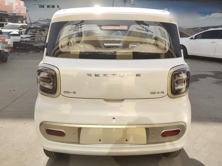 Фото 6 - Bestune Pony