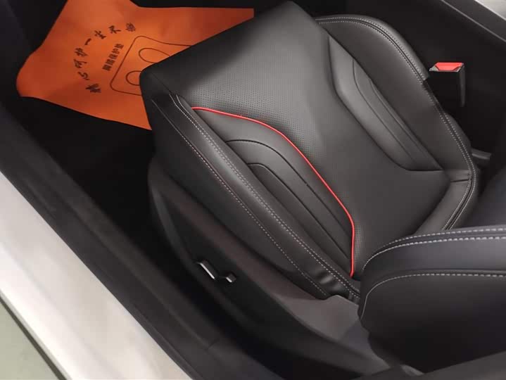 Фото 9 - Geely Binrui