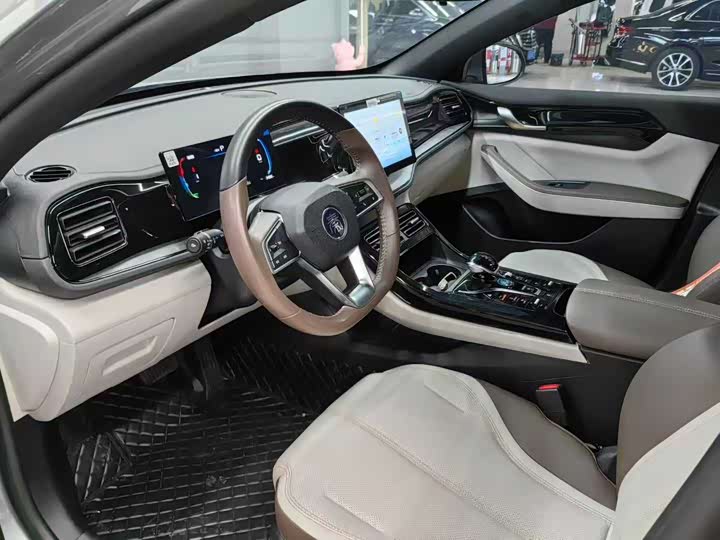 Фото 4 - BYD Qin Plus