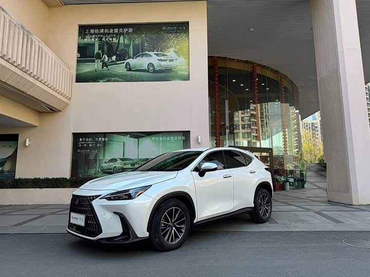 Фото 1 - Lexus NX