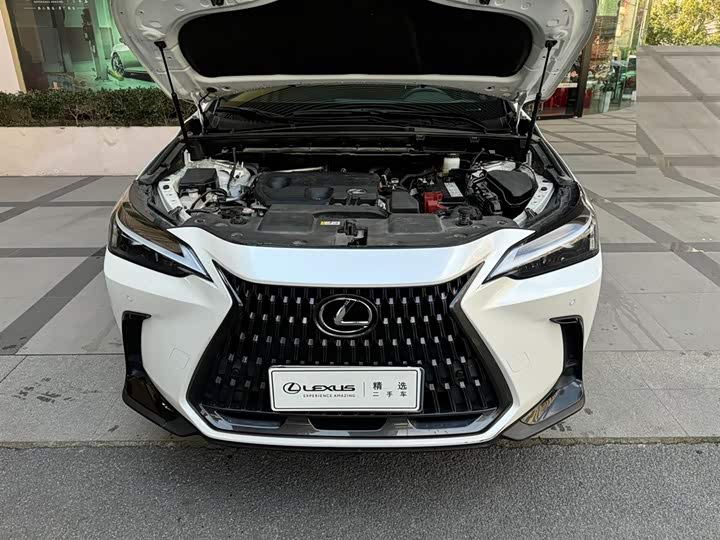 Фото 6 - Lexus NX