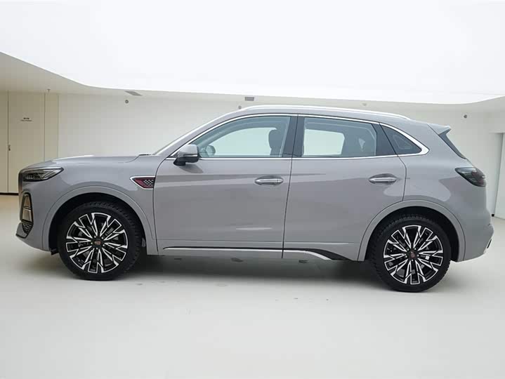 Фото 3 - Hongqi HS5