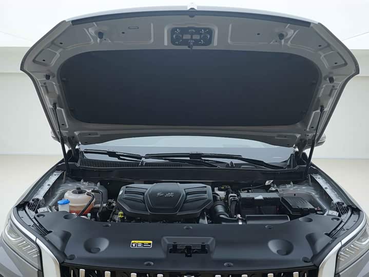 Фото 7 - Hongqi HS5