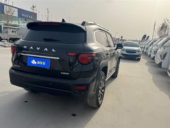 Фото 3 - Haval H-Dog