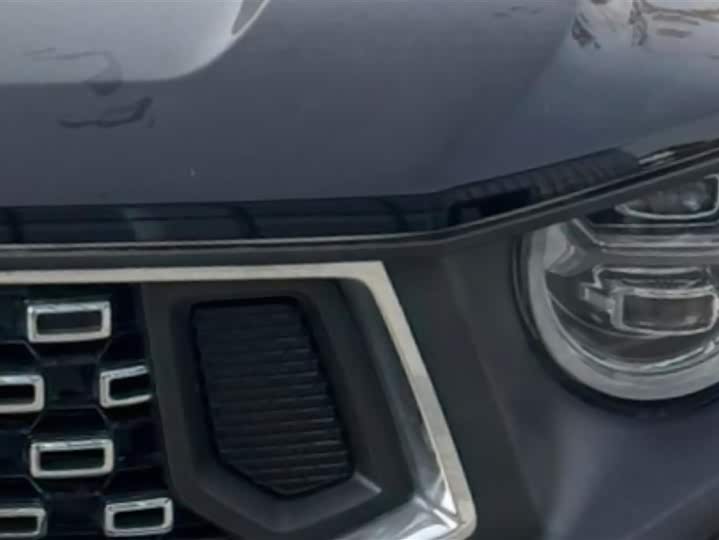 Фото 5 - Haval H-Dog