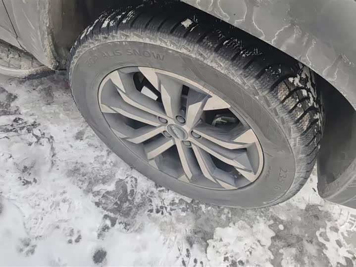 Фото 6 - Haval H-Dog