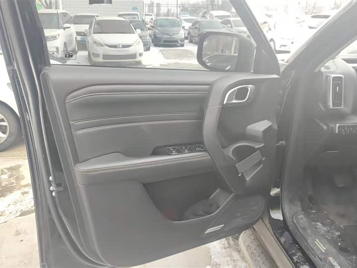 Фото 7 - Haval H-Dog