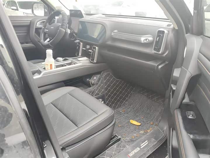 Фото 8 - Haval H-Dog