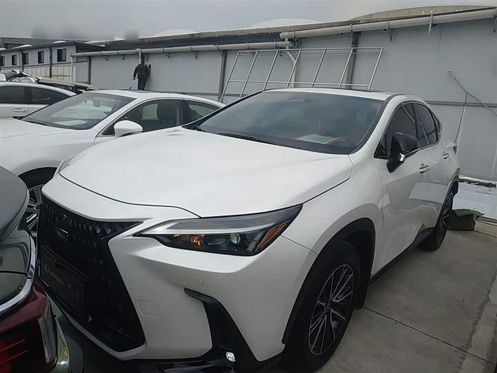 Фото 1 - Lexus NX