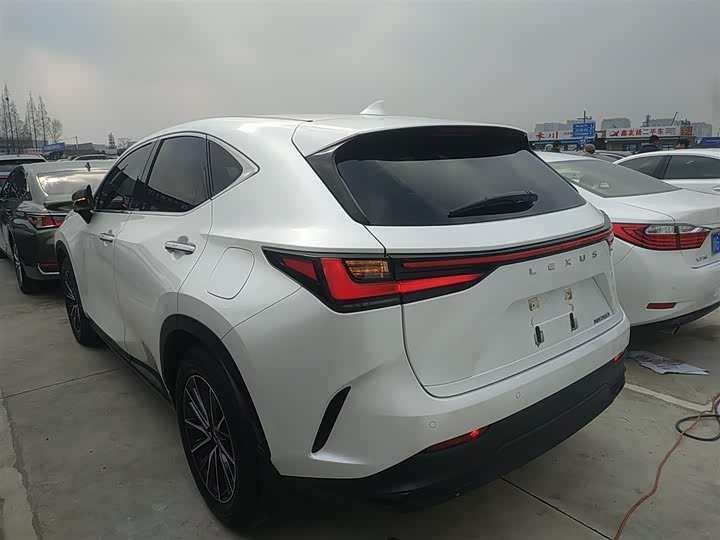 Фото 5 - Lexus NX