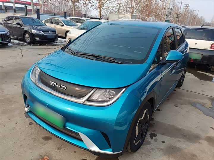 Фото 2 - BYD Dolphin