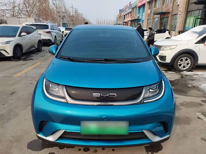 Фото 3 - BYD Dolphin