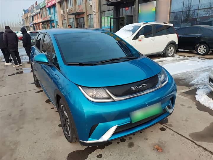 Фото 4 - BYD Dolphin