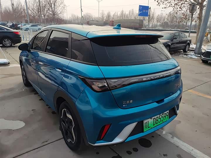 Фото 5 - BYD Dolphin