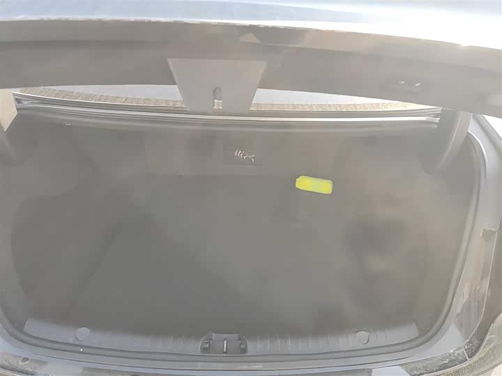 Фото 9 - BYD Han