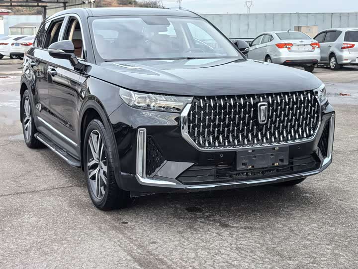 Фото 2 - Bestune T99