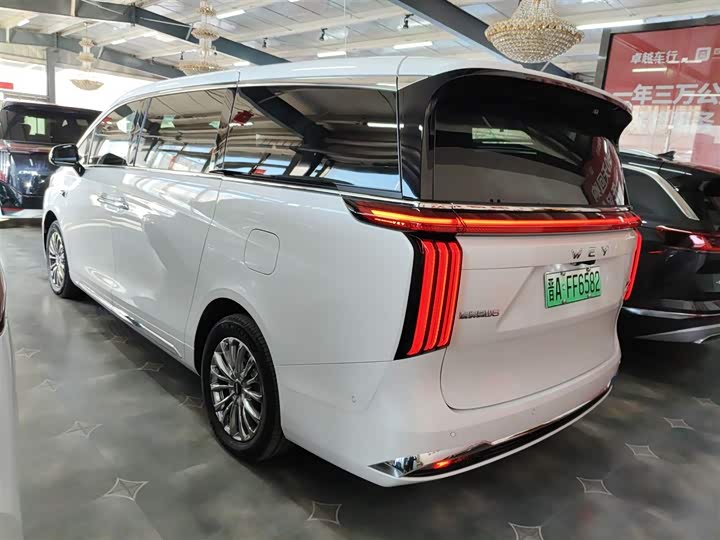 Фото 5 - Wey Gaoshan