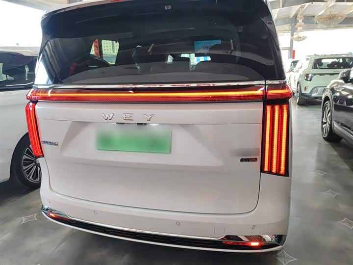 Фото 6 - Wey Gaoshan