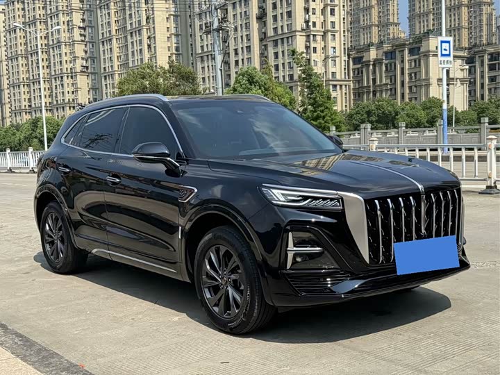Фото 3 - Hongqi HS5